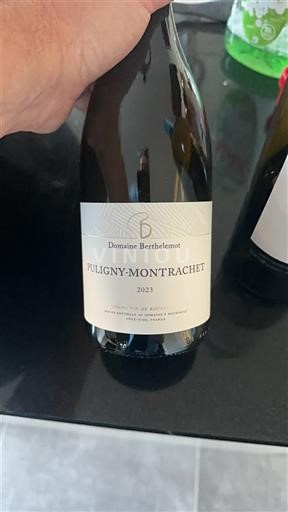 Burgundsko Puligny-Montrachet Domaine Berthelmot 2023