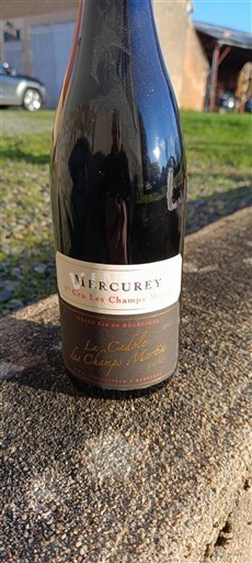 Burgundsko Mercurey Premier Cru Les Cadoles Les Champs Martin 2018