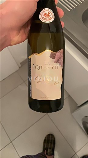 Valea Loarei Quincy Philippe Portier La Quincÿte 2020