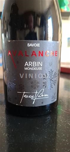 Jura Arbois Trosset Fabien Avalanche 2016