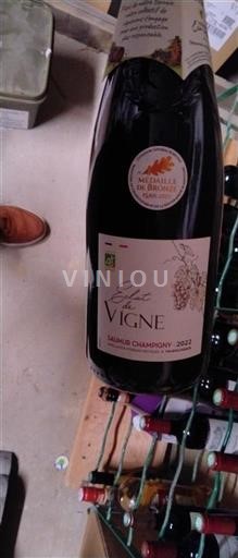 Loire-dalen Saumur-Champigny Côté de la Vigne 2022