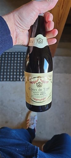 Lotharingen Côtes de Toul Domaine Claude Vosgien 2024