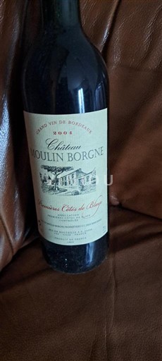 Bordeaux Ni doloceno Château Moulin Borgne 2004