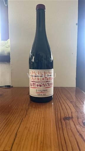 Toscana I Forestieri Tutti Giù Per Terra 2023