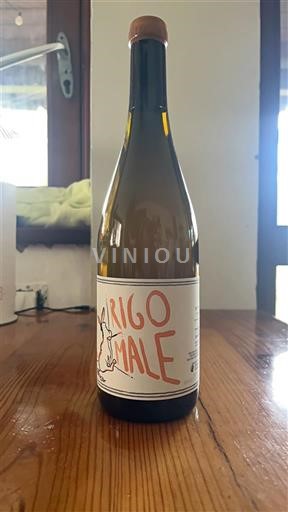 Toscana I Forestieri Rigomale 2023