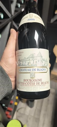 Burgundsko Hautes Côtes de Beaune Château Bligny 2006