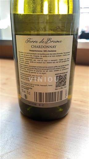 Linguadoca e Rossiglione Paese d'Oc Terre de Brume Chardonnay Senza annata