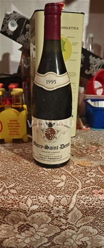 Burgundsko Morey-saint-denis Domaine Henri Perrault 1995