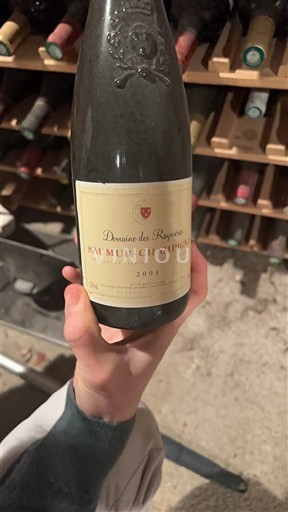 Loire-dalen Saumur-Champigny Domaine S Rogeries 2004