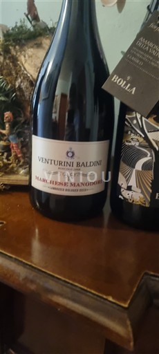Piedmont Wines Acqui Venturini Baldini Marchese Manodori Non-Vintage