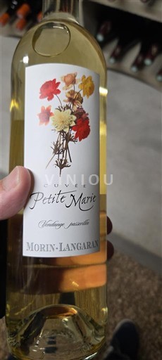 Languedoc ja Roussillon Pays d'Oc Morin-Langaran Petite Marie Ei vuosikertaa