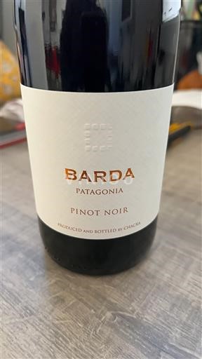 Patagonia Unspecified Chacra Barda 2024