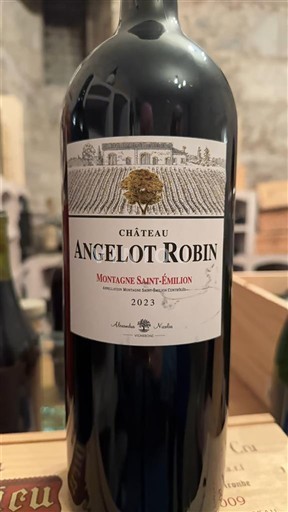 Bordeaux Montagne-saint-émilion Château Angelot Robin 2023