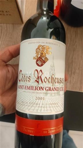 Bordeaux Saint-Émilion Grand Cru Grand Cru Côtes Rocheuses 2001