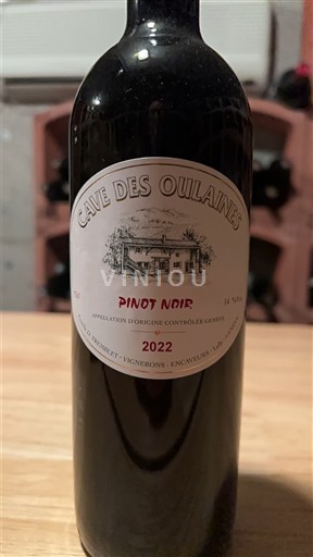 Valle del Loira Sancerre Cave des Oulaines Pinot Noir 2022
