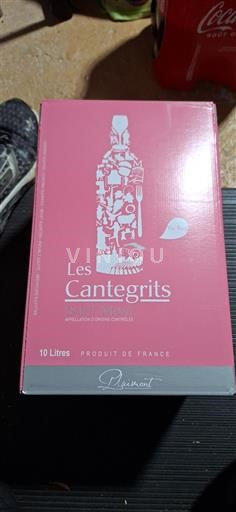 Jugozahod Côtes de Gascogne Les Cantegrits Neleten.