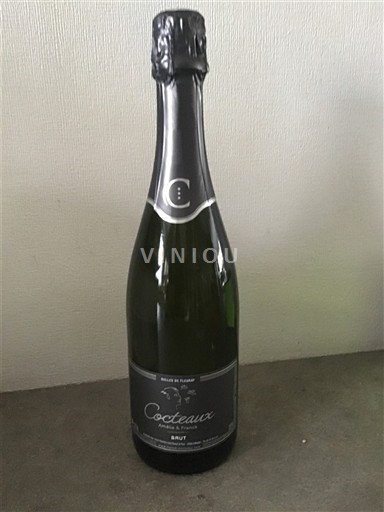 Loirevallei Vouvray Cocteaux Bulles de France Niet-geïntegreerd