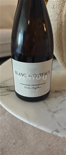 Macedonia Amyntaio Apostolos Thymiopoulos Blanc des Coteaux, Amphore 2023