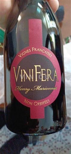 Loiredalen Touraine Henry Marionnet Vinifera 2016