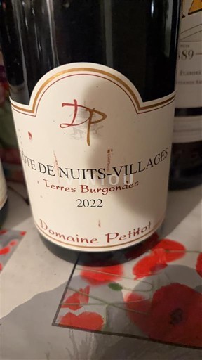Burgundsko Côte de nuits villages Domaine Petitot Terres Burgondes 2022