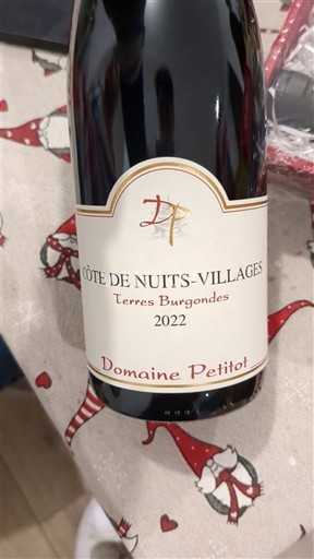Bourgogne Côte de Nuits-Villages Domaine Petitot Terres Burgondes 2022