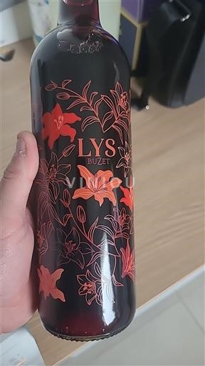 Sydväst Buzet Buzet Lys 2022