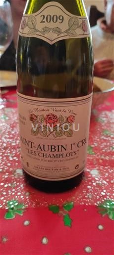 Borgogna Saint-Aubin Premier Cru Colin-Deléger & Fils Les Champlots 2009