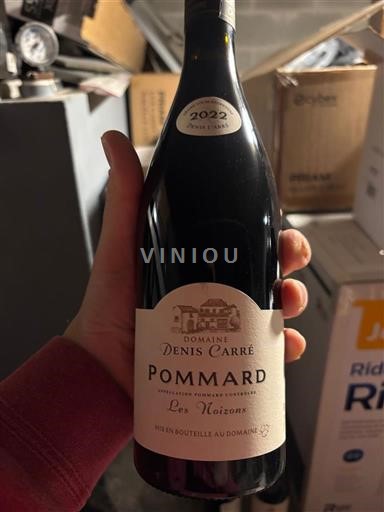 Wijnen Rouge sec Les Noizons Denis Carré 2022 Frankrijk Bourgondië Pommard AOC