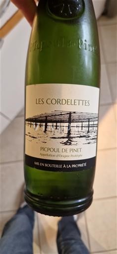 Langvedok Picpoul-de-Pinet Les Corlettes Neleten.