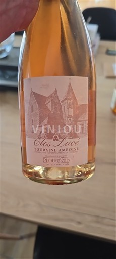 Thung lũng sông Loire Touraine-amboise Plou & Fils Clos Lucé Không niên vụ