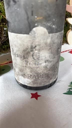 Burgundsko Beaune Premier Cru Rapet Beaune clos du roi 2009