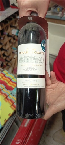 Bordeaux Castillon-côtes-de-bordeaux Château Moulin de la Clotte 2018