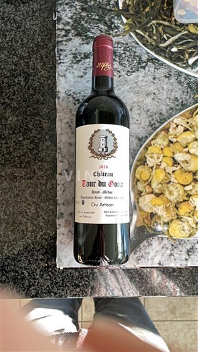 Bordeaux Haut-Médoc Cru Artisan Château Tour du Goua 2016