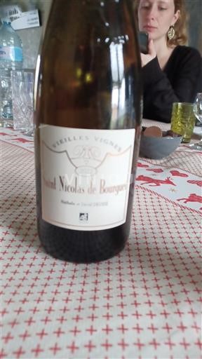 Loire-dalen Saint-Nicolas-De-Bourgueil Domaine Petit Chambord Vieilles Vignes Ikke årgangsbestemt