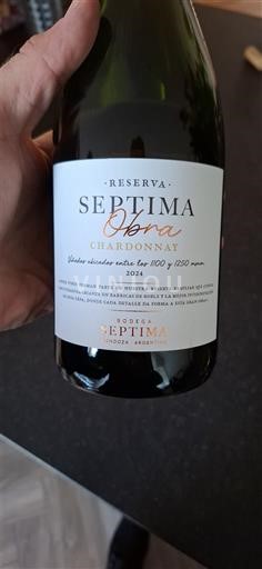 Mendoza Bodega Séptima Obra Reserva Chardonnay 2024