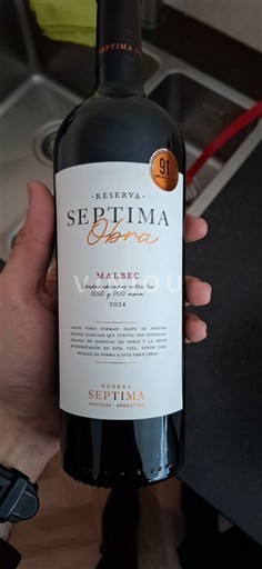 Mendoza Bodega Séptima Obra Reserva 2024