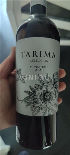 Murcia Alicante Tarima Seleccion 2024