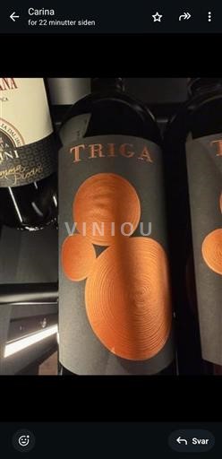 Mursija Аликанте Triga 2020