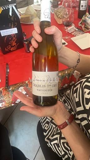 Burgundy Unspecified Premier Cru Domaine Millet Vaucopin 2020