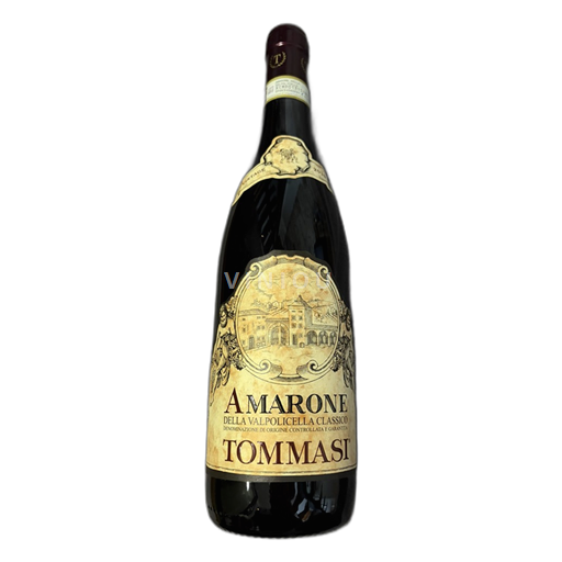 Veneto Amarone della Valpolicella Tommasi Amarone della Valpolicella Classico 2019