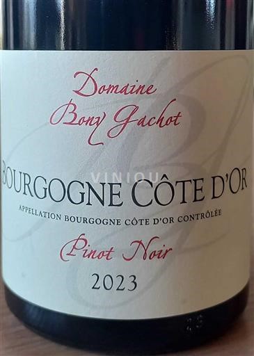 Burgundsko Burgundsko Côte d'Or Domaine Bony Gachot Pinot Noir 2023