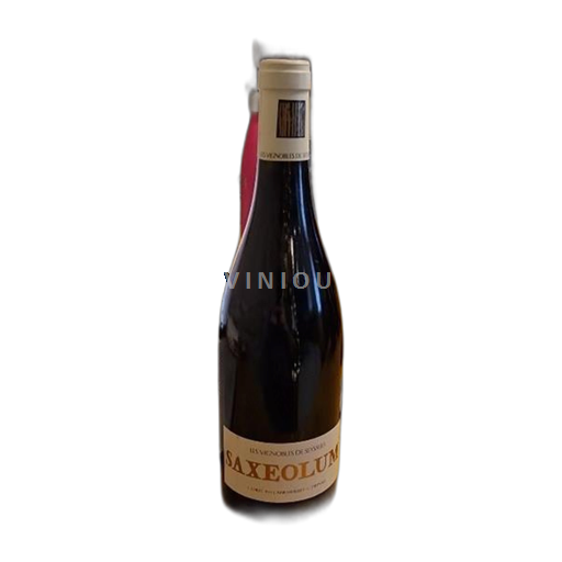 Alperna och Rhône-länderna Rhodendalarna Louis Chèze Saxeolum 2021