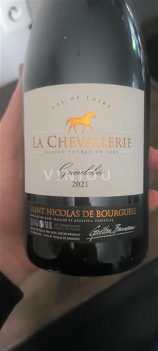 Loire Valley Saint-Nicolas-de-Bourgueil La Chevallerie Gueulebée 2021