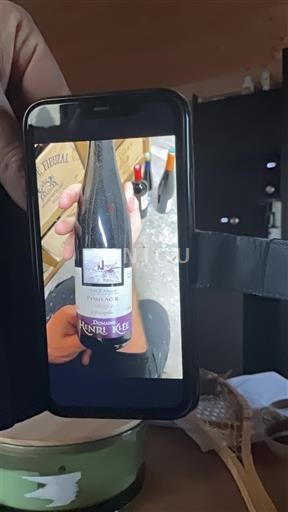 Alsace Pinot noir Domaine Henri Klee 2020