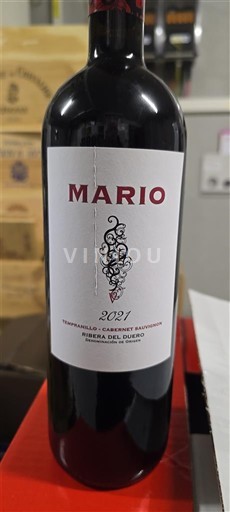 Castilië en León Ribera del Duero Mario 2021
