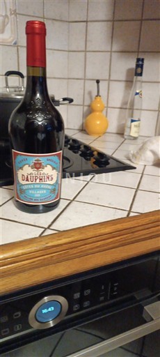 Rhône-dalen Côtes-du-Rhône Les Dauphins 2020