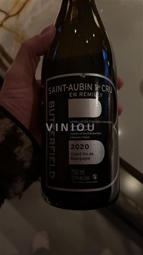 Burgundy Not Specified Premier Cru Butterfield En Remilly 2020
