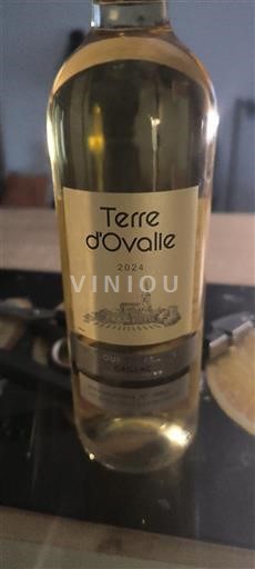 Sudoeste Côtes de Gascogne Terre d'Ovalie 2024