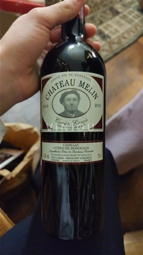 Bordeaux Cadillac-côtes-de-bordeaux Château Melin Louis 2019