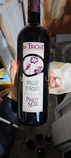 Aosta Valley Lo Triolet 2015